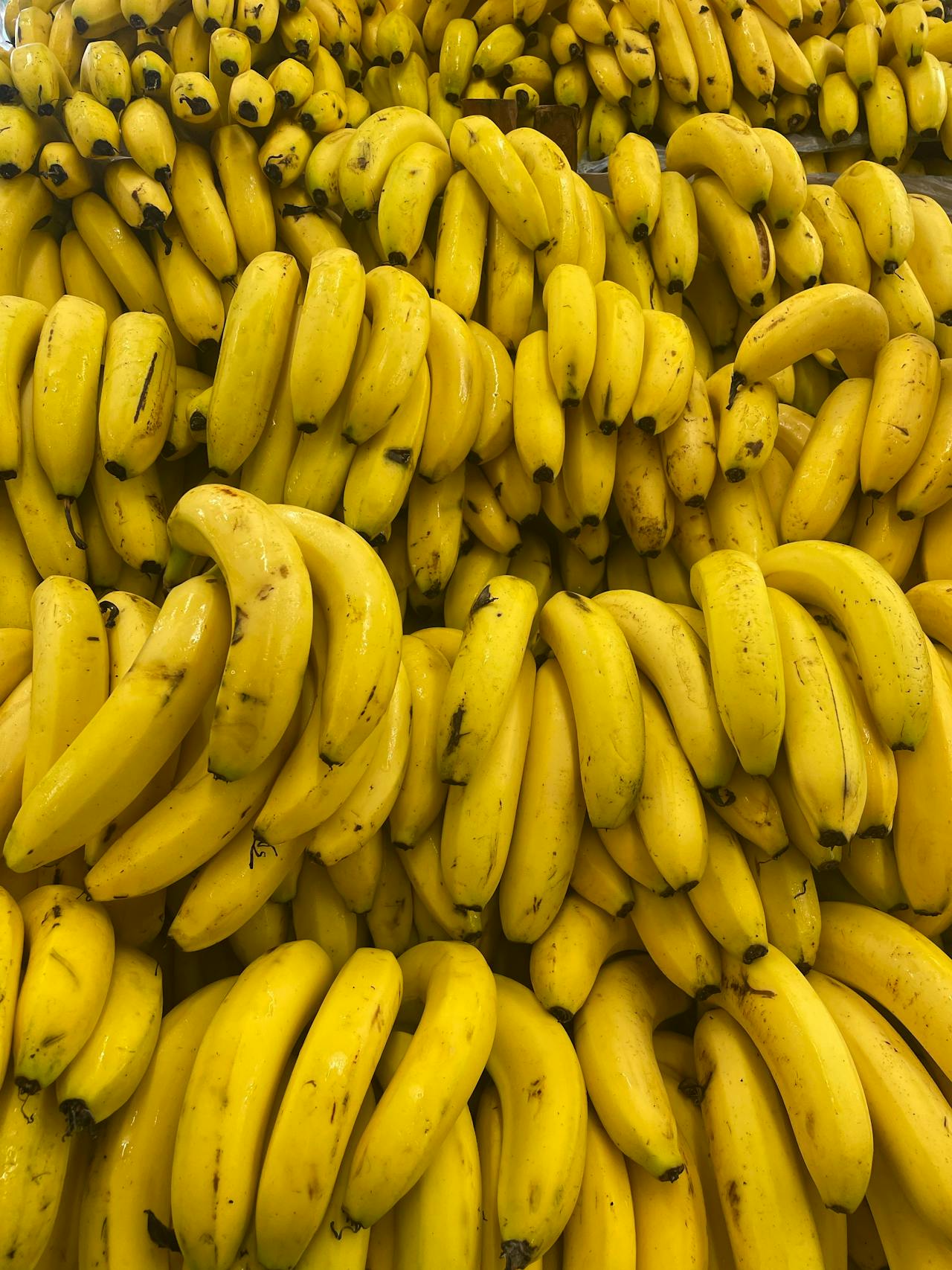Fresh Bananas